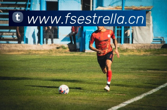 App Interface Preview